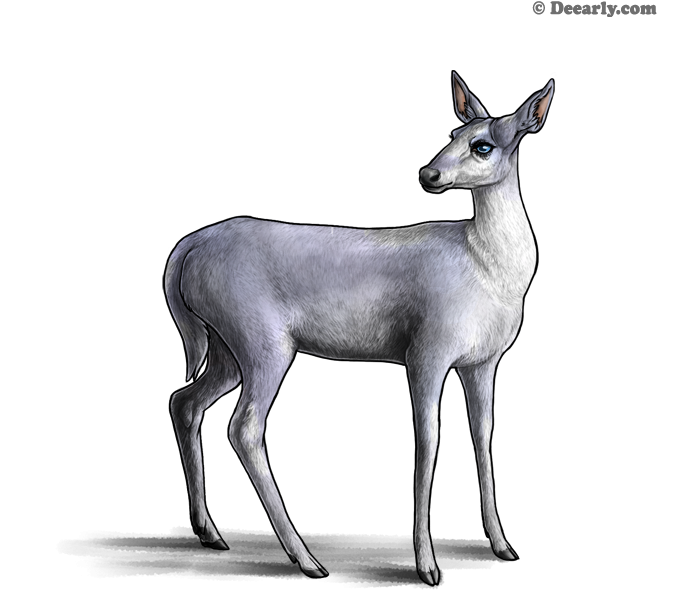 Frost by Larry